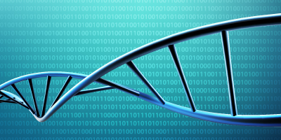 Forecast's species: classification vs. regression