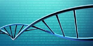 Forecast's species: classification vs. regression