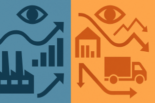 Una reflexión sobre el trabajo de David Simchi-Levi