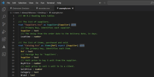 VS Code extension for Envision.