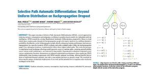 Selective Path Automatic Differentiation: Beyond Uniform Distribution on Backpropagation Dropout